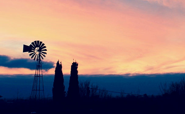 NATURAL & BIODYNAMIC