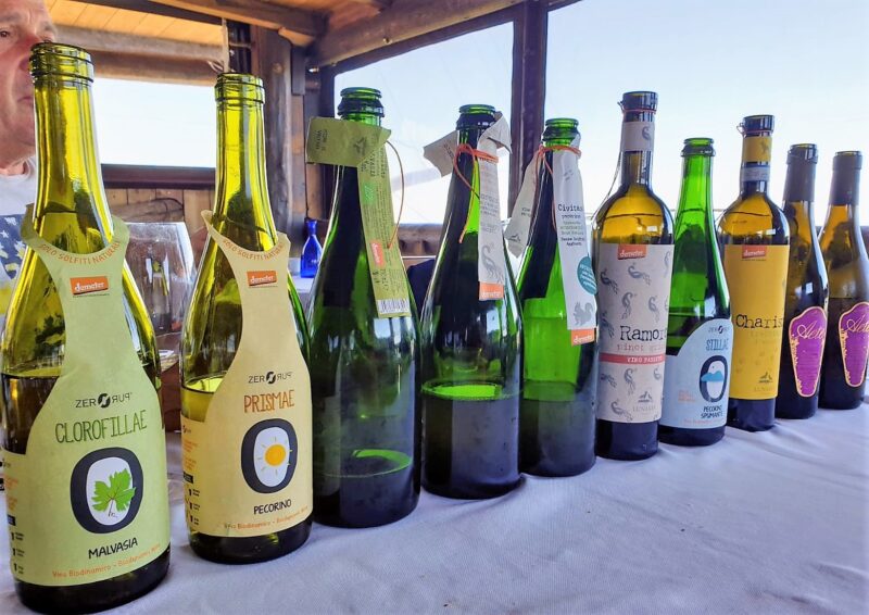 Low intervention MADE IN ITALY Wine Tasting
