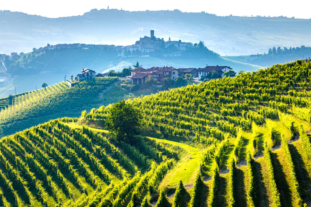 Langhe Supper Club