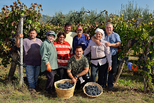 Il Poggio - Famiglia Fusco Viticultori