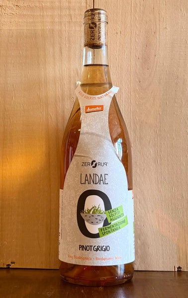 'LANDAE' Pinot Grigio IGP Terre di Chieti 2024 (Orange/Natural) - Cantina Orsogna