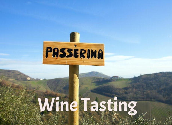 White Wines from Abruzzo