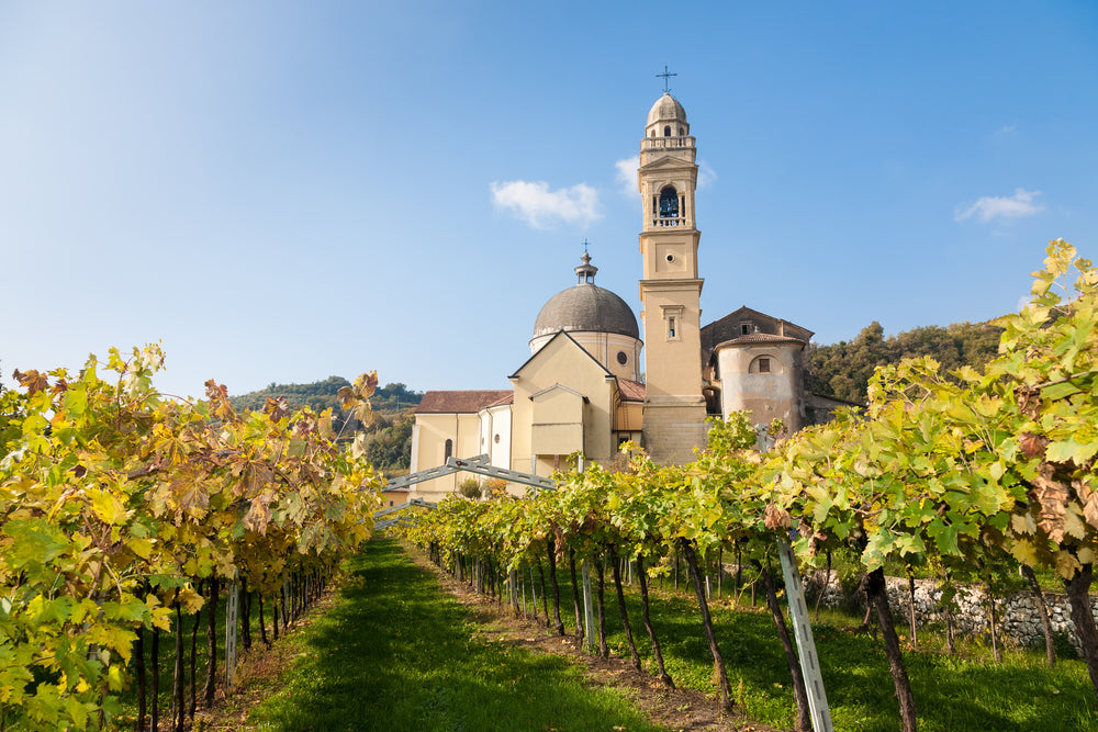 Veneto Grand Wine Tasting - with eight wines